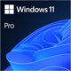 Visuel Windows 11 Professionnel
